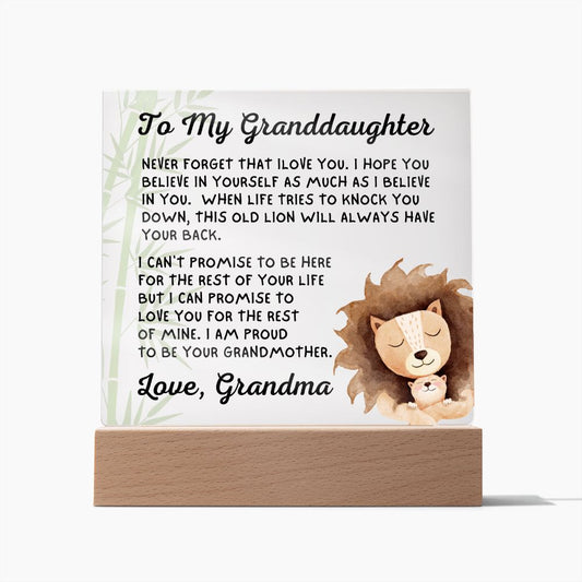 Gift for Granddaugher | Promise Acrylic Plaque  007-ACS