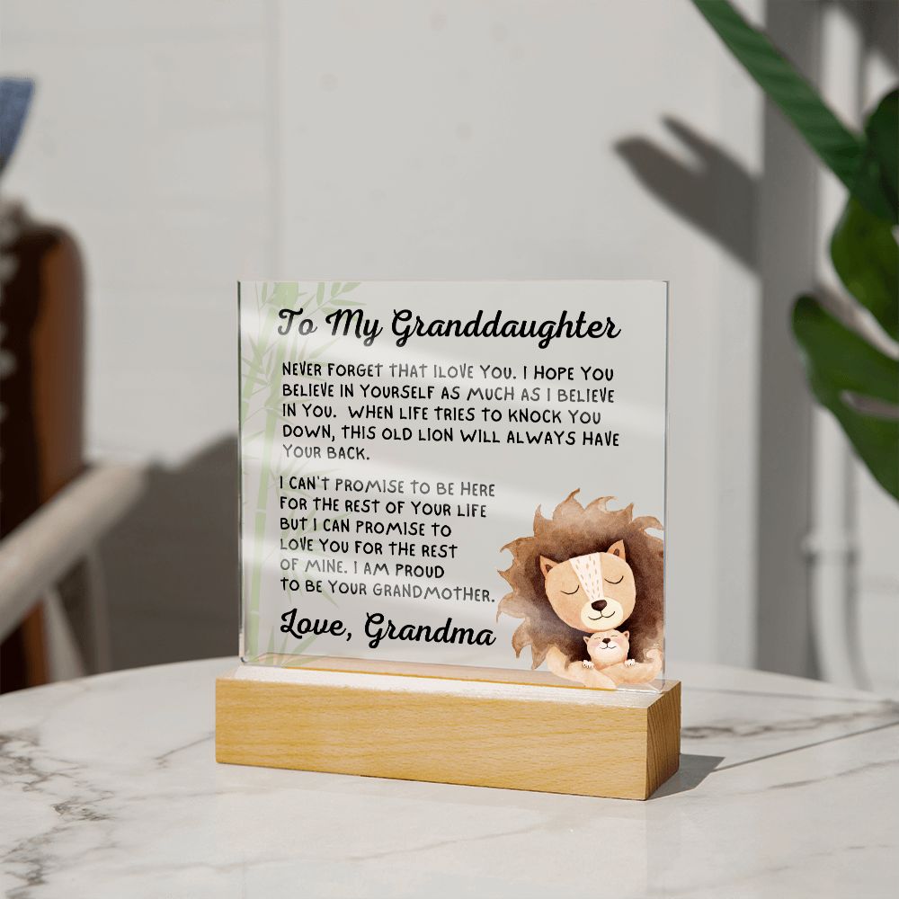 Gift for Granddaugher | Promise Acrylic Plaque  007-ACS