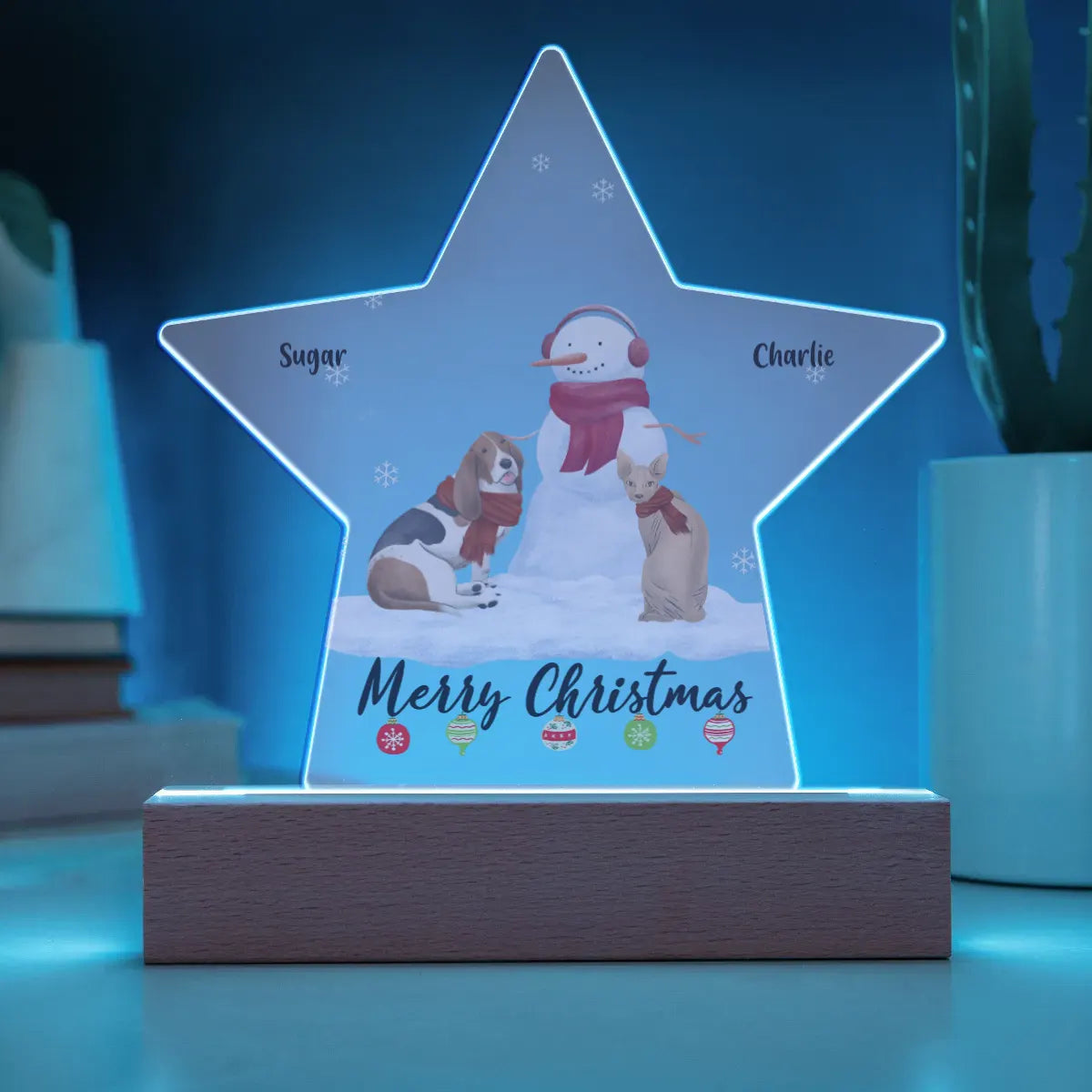 Personalized Christmas Gift | Custom Acrylic Star Plaque | Gift for Pet Owner STA-07